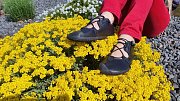 Barefoot boty SALTIC ARWEN black EU 38
