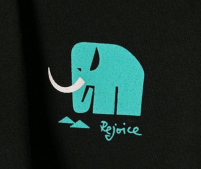 Dětské tričko REJOICE KIDS ADIANTUM U02-2406 146