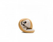 VIVOBAREFOOT GOBI III WOMENS SANDSTONE EU 41